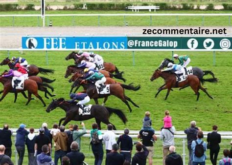voyeusesur turf|BELLES TURF.